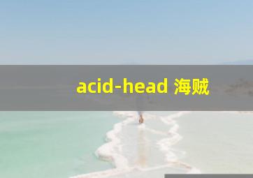 acid-head 海贼